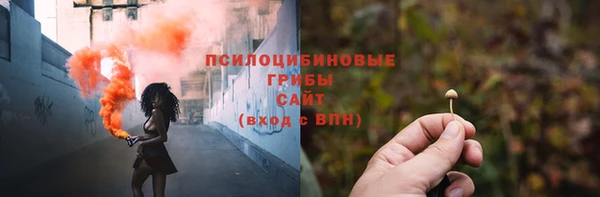a pvp Нея