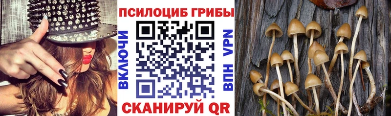 Галлюциногенные грибы прущие грибы  купить наркоту  Анива 